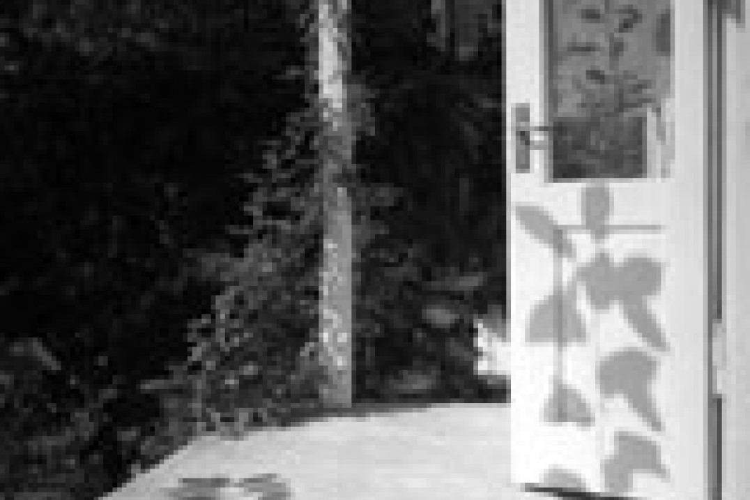 Tajemnica Janusza Leśniaka