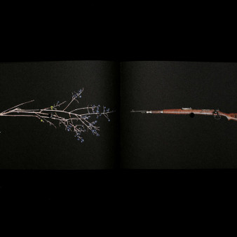 Photobook Talks #4 - Natalia Wiernik o książcę „Once a Year the Stick Shoots”