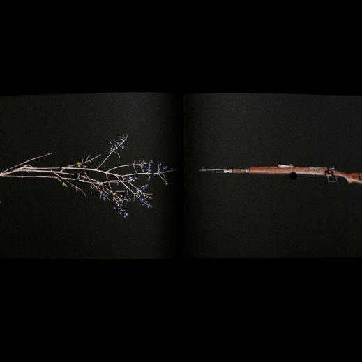 Photobook Talks #4 - Natalia Wiernik o książcę „Once a Year the Stick Shoots”