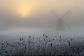 fot. Andrew Bailey, "Freezing Fog and Hoar Frost"