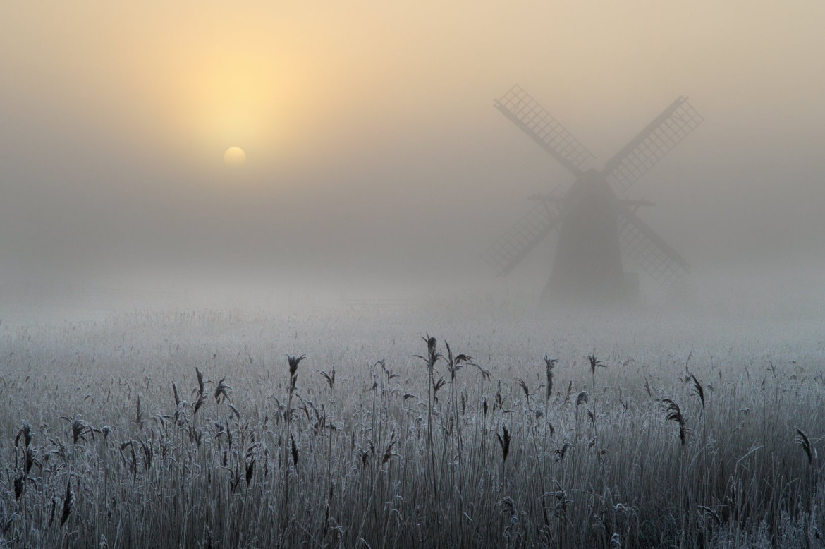 fot. Andrew Bailey, "Freezing Fog and Hoar Frost"
