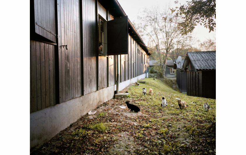 fot. Delphine Schacher Bois des Freres