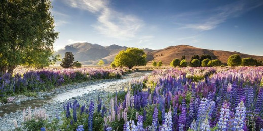 Poznaliśmy laureatów International Garden Photographer of the Year