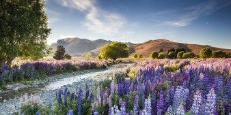 Poznaliśmy laureatów International Garden Photographer of the Year