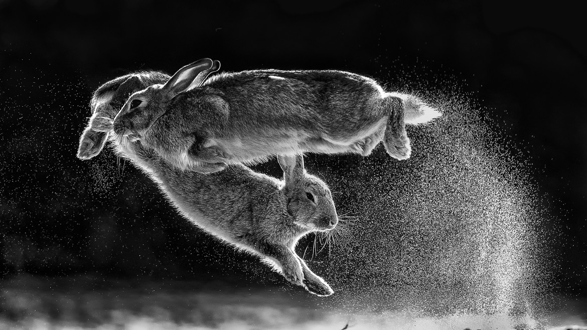 fot. Csaba Daróczi, "Jump", 1. miejsce w kategorii Black & White
