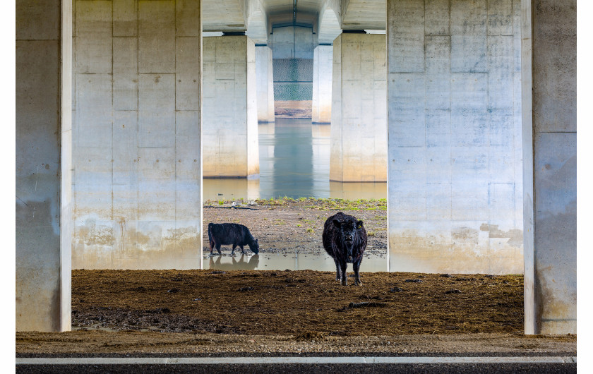 fot. Karin de Jonge, Gallows under the bridge, 1. miejsce w kategorii Landscapes of the Lage Landen