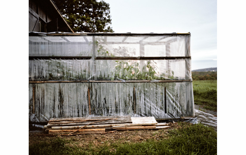 fot. Delphine Schacher Bois des Freres