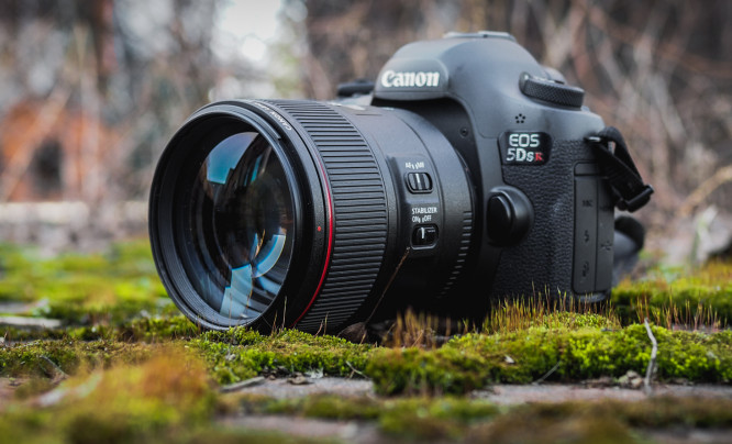 Canon EF 85 mm f/1.4L IS USM - test obiektywu