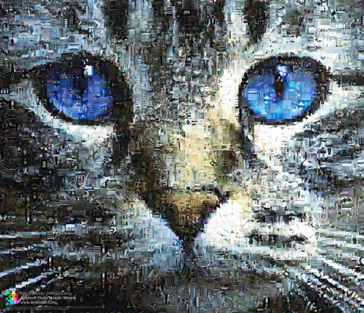 Artensoft Photo Mosaic Wizard 1.0