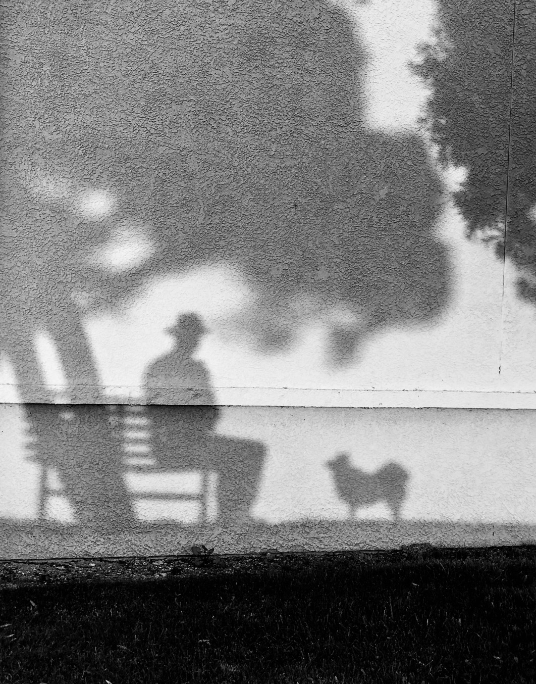 My Faithful Shadow, fot. Tony Hertz, III miejsce w kategorii Dogs and People, Dog Photography Awards 2025