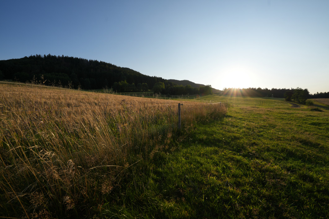 1/250 s, f/8, ISO 100, 16.0 mm