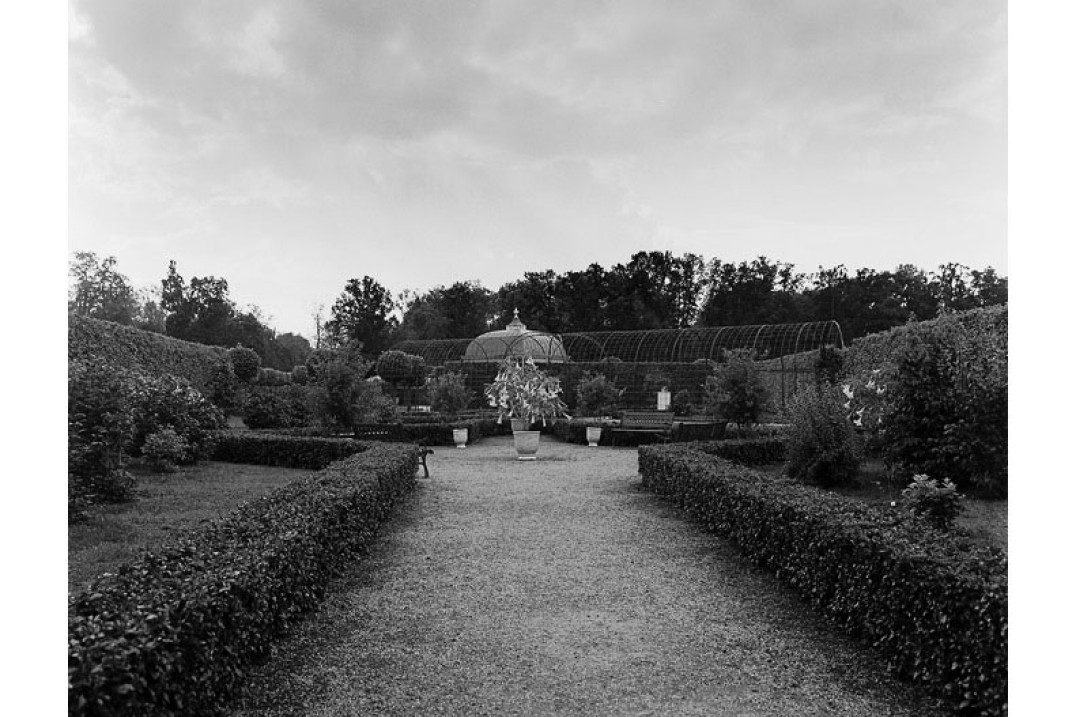 "Między szarościami" Dominika Miklaszewskiego w Służewskim Domu Kultury