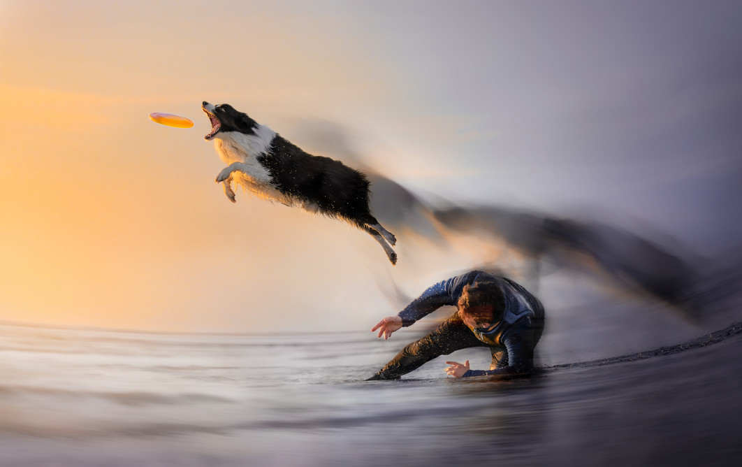 Contrails, fot. Barbara Cesari, III miejsce w kategorii Open, Dog Photography Awards 2025