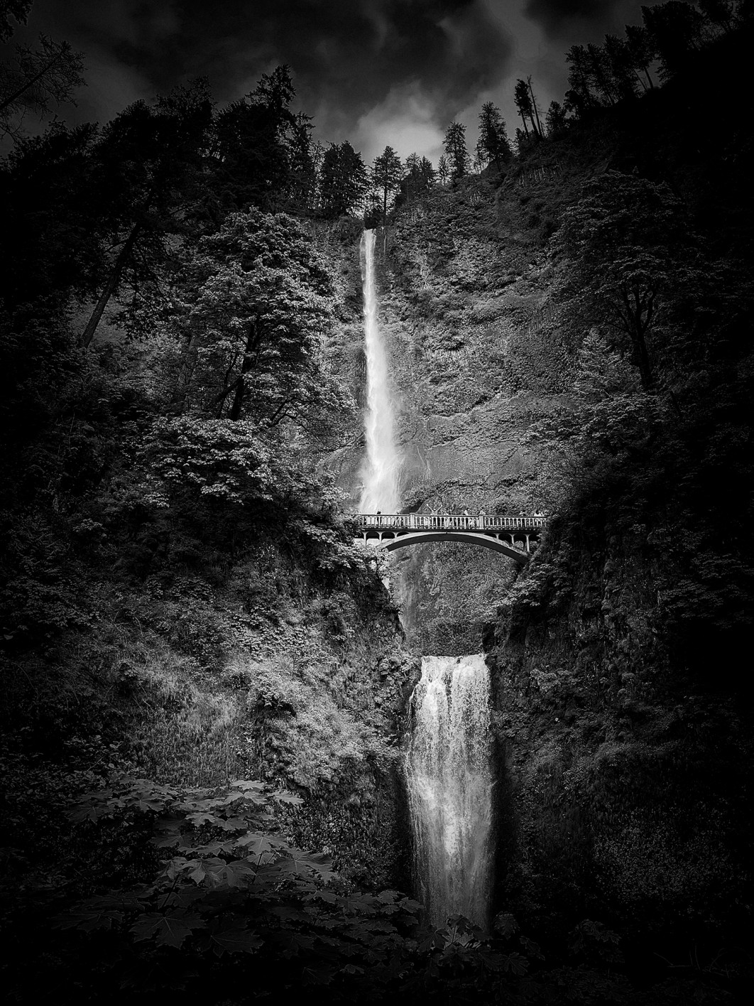 Fot. Jennifer Newitt, 3. miejsce w kat. Landscape / iPhone Photography Awards 2025