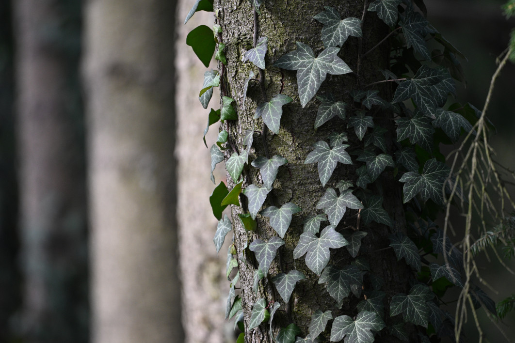 1/640 s, f/6.3, ISO 1600, 600.0 mm