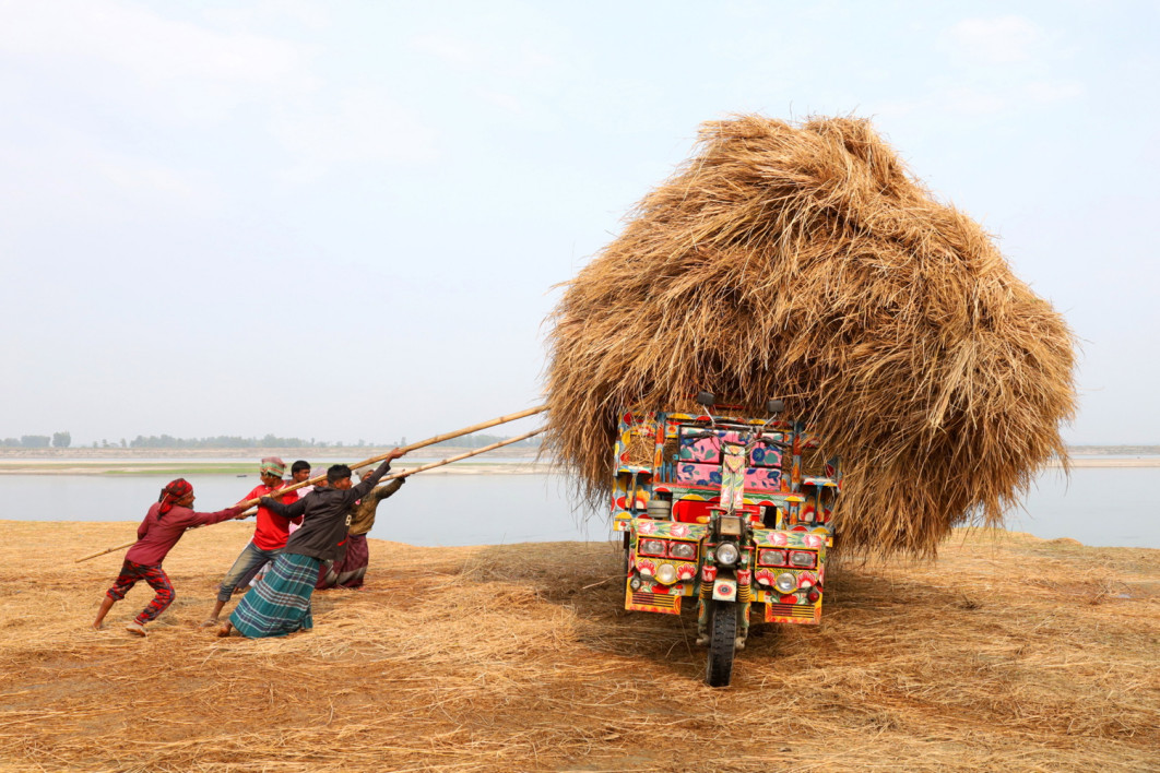 Fot. Syed Mahabubul Kader, nagroda Bangladesh National Award / Sony World Photography Awards 2025