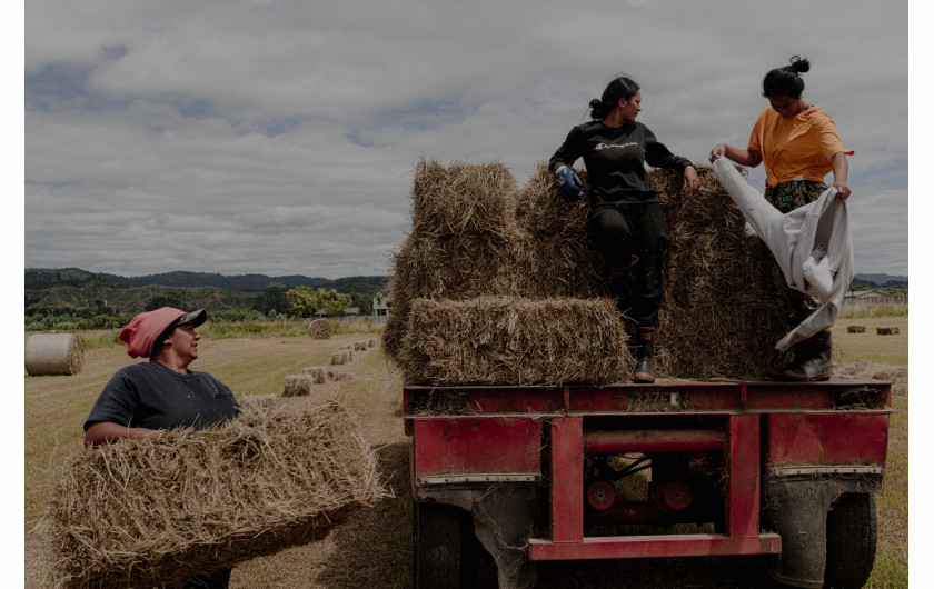 Z cyklu: Te Urewera – The Living Ancestor of Tūhoe People
fot. Tatsiana Chypsanava / Pulitzer Center, New Zealand Geographic / World Press Photo 2025



Lud Ngāi Tūhoe z regionu Te Urewera w Nowej Zelandii od zawsze pielęgnował swoją niezależność. Tūhoe nigdy nie utracili więzi ze swoim językiem i tożsamością kulturową, a przełomowe porozumienie z 2014 roku umożliwiło im zarządzanie ziemiami przodków zgodnie z własnymi wartościami. Najnowsze zmiany wprowadzone przez prawicowy rząd Nowej Zelandii są jednak postrzegane jako krok wstecz i zagrożenie dla wywalczonych wcześniej postępów w polityce wobec ludności rdzennej. Mimo to farma zarządzana przez Tataiwhetu Trust w Te Urewera stanowi inspirujący przykład odrodzenia kulturowego i ekologicznego dla młodszego pokolenia.
