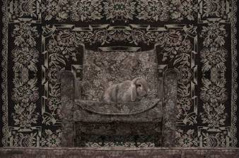 "Dziękczynienie" Natalii Wiernik w Galerii Pauza