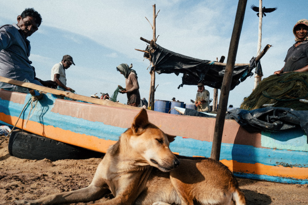Wieloplany w podróży - Jonathan Jasberg