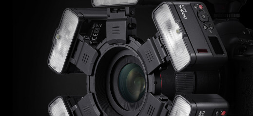 Godox MF12 - czy to najbardziej uniwersalny flash do zdjęć makro?