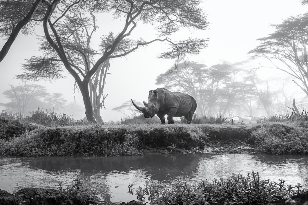 Fot. Mohammad Mirza, nagroda Kuwait National Award / Sony World Photography Awards 2025