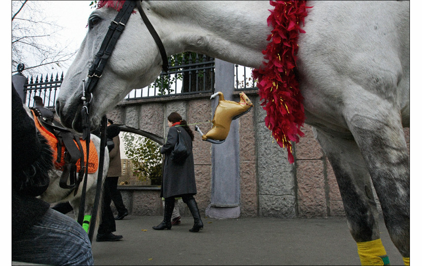 fot. Artem Zhitenev