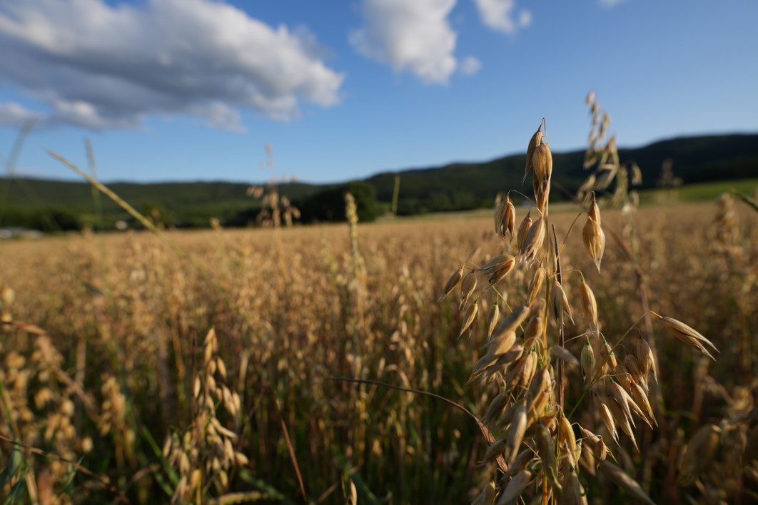 1/400 s, f/5.6, ISO 100, 16.0 mm