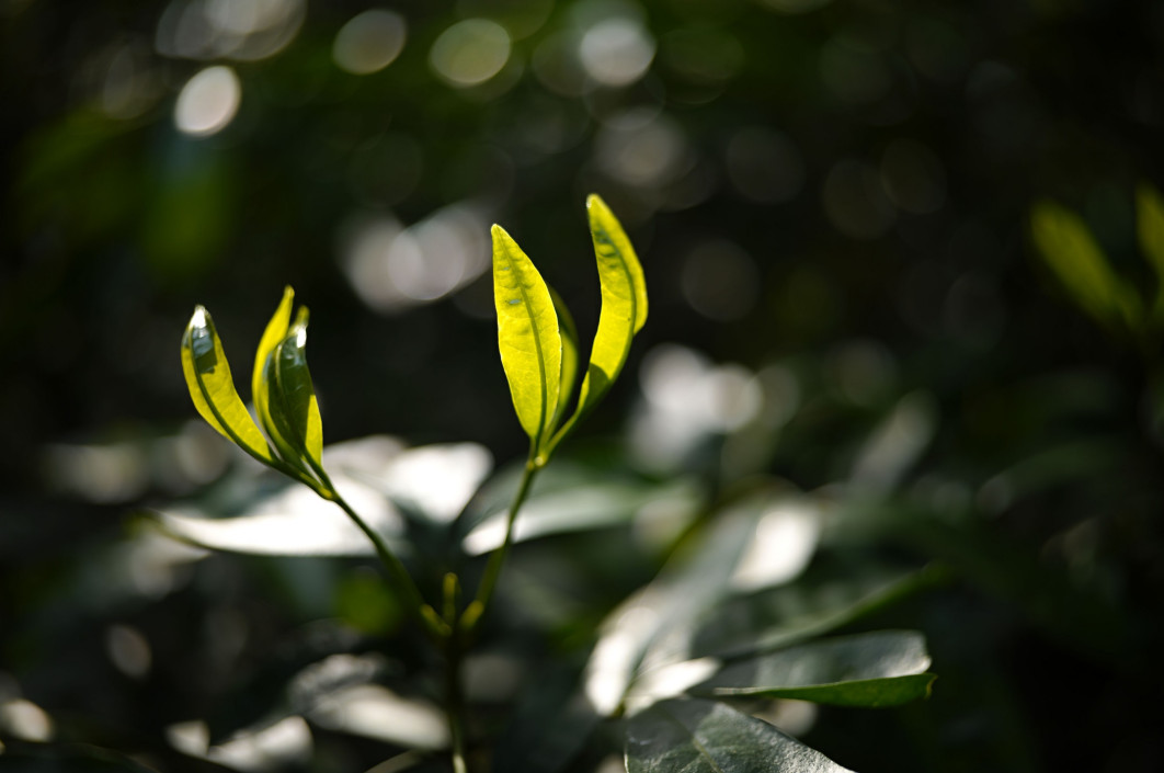 Fot. Noriko Yamaguchi