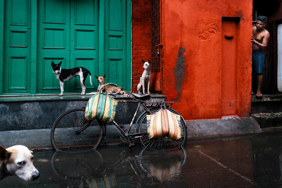 fot. Jonathan Jasberg