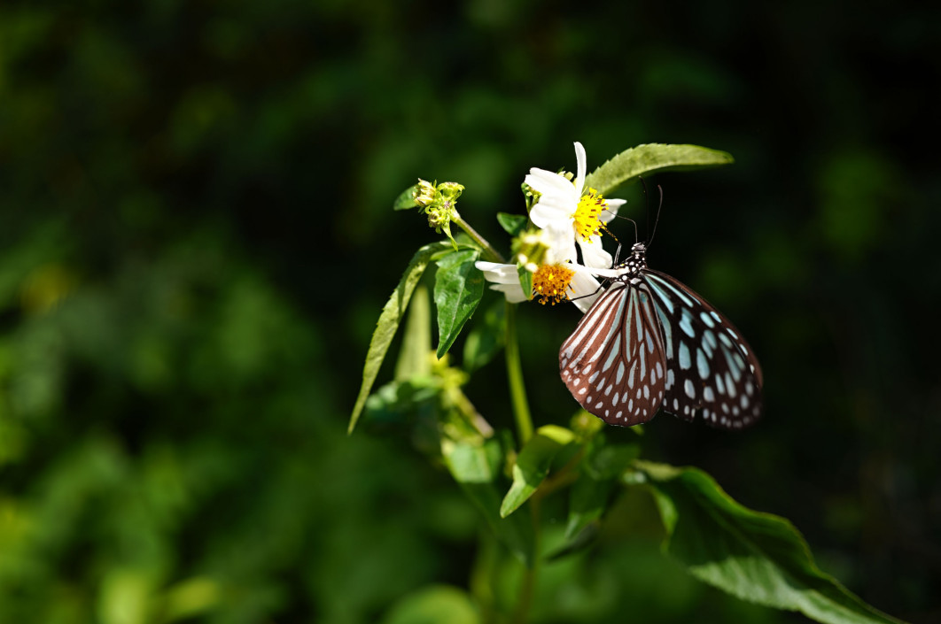 Fot. Noriko Yamaguchi