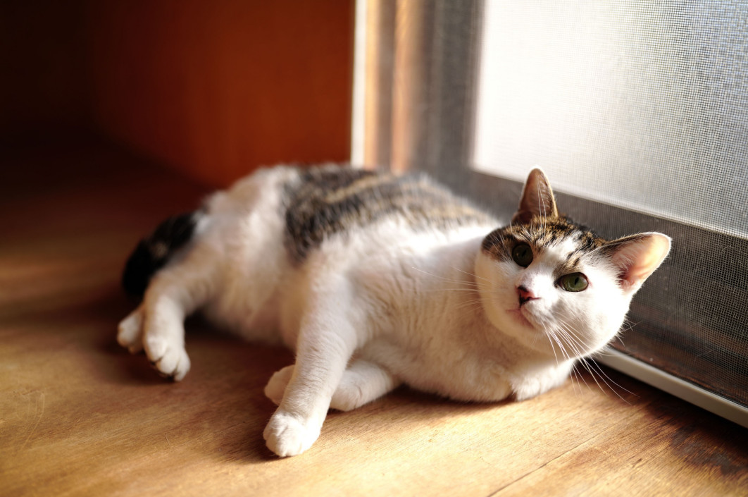 Fot. Noriko Yamaguchi