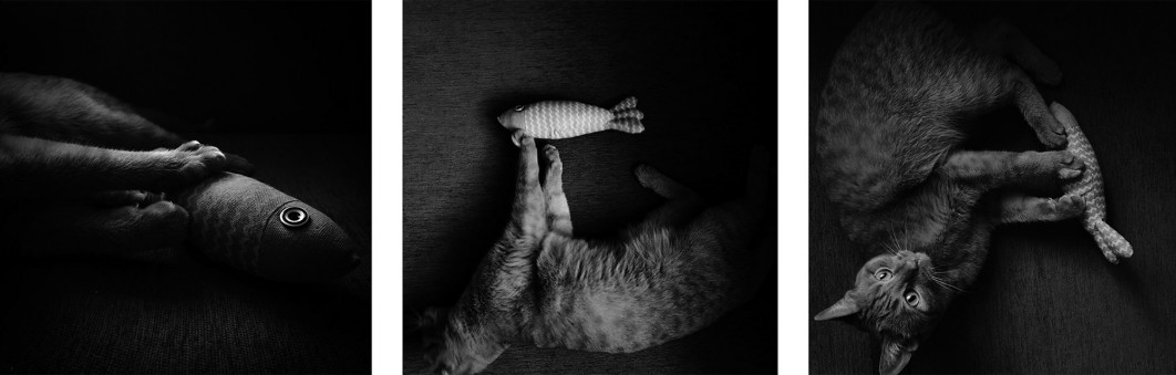 Fot. Milena Konstantinova, 3. miejsce w kat. Series / iPhone Photography Awards 2025