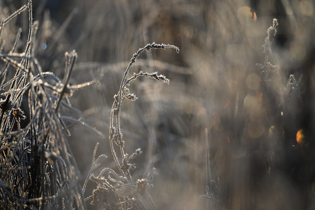 1/800 s, f/6.3, ISO 400, 600.0 mm