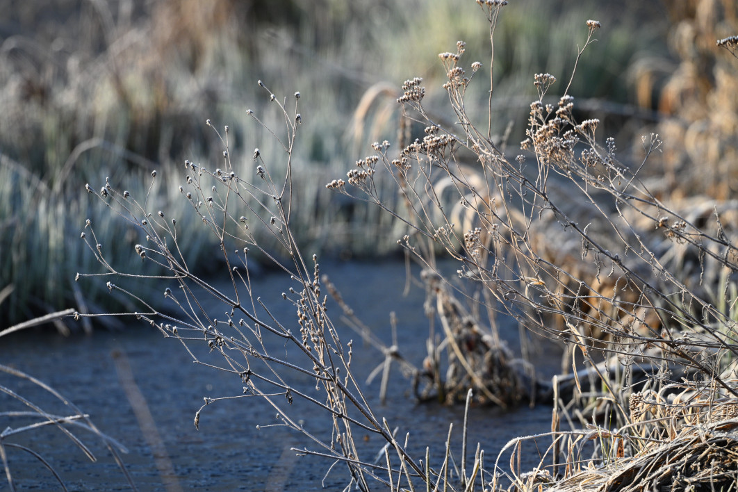 1/640 s, f/8, ISO 800, 600.0 mm