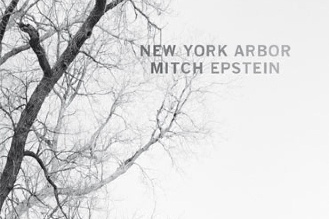 Mitch Epstein "New York Arbor" - recenzja