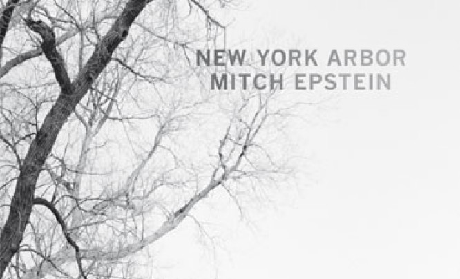 Mitch Epstein "New York Arbor" - recenzja