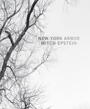 Mitch Epstein "New York Arbor" - recenzja