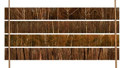Leszek Szurkowski "Les imaginary forest"