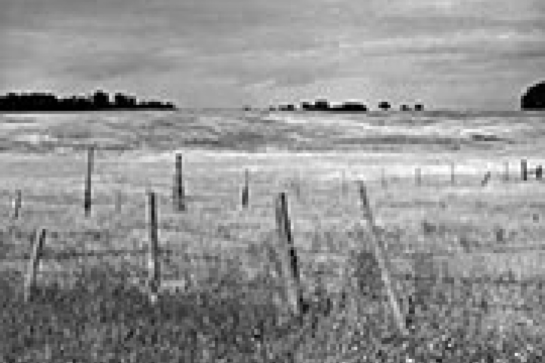 Fotograf niedzielny - "Kwestionariusz dla przyszłych zawodowców"