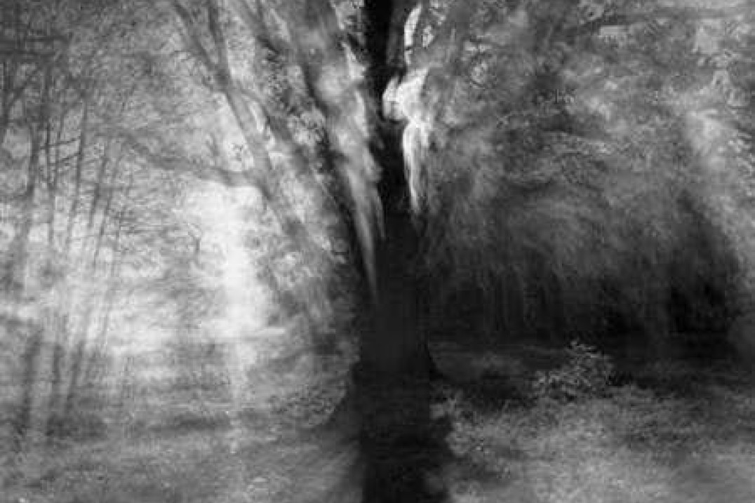 Fotografie Stanisława J. Wosia w Galerii F5
