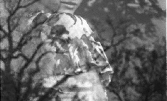  Wystawa Wioletty Gołębiewskiej w Galerii Jabłkowskich