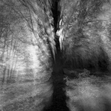 Fotografie Stanisława J. Wosia w Galerii F5