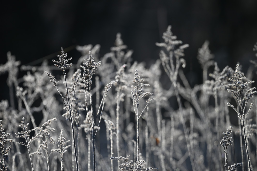 1/1600 s, f/6.3, ISO 400, 600.0 mm