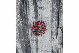 (c) Robert Bösch