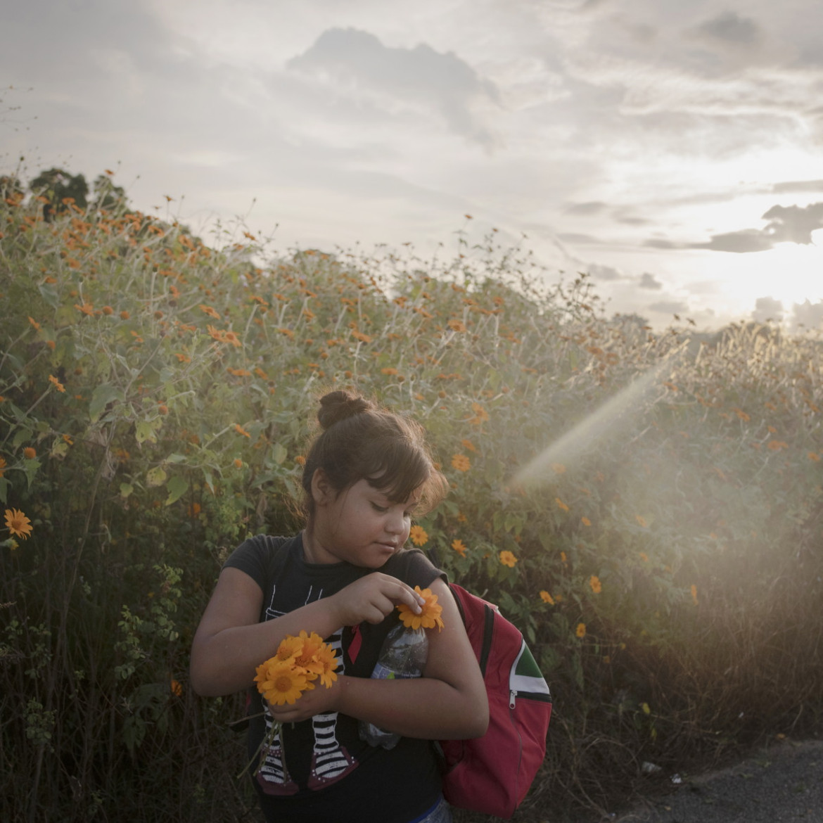 fot. Pieter Ten Hoopen, Agence Vu/Civilian Act, "The Migrant Caravan ", 1. miejsce w kategorii Spot News.

W październiku i listopadzie 2018 roku tysiące emigrantów z państw Ameryki Centralnej dołączyło do karawany zmierzającej w stronę granic USA. Karawana stworzona dzięki kampanii w mediach społecznościowych zapewniała minimum bezpieczeństwa podróżującym na trasie, na której wcześniej ludzie znikali, lub byli porywani. Była też alternatywą dla wysokich opłat u przemytników ludzi.