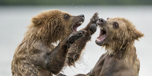 Najlepsze prace konkursu Travel Photographer of the Year 2014