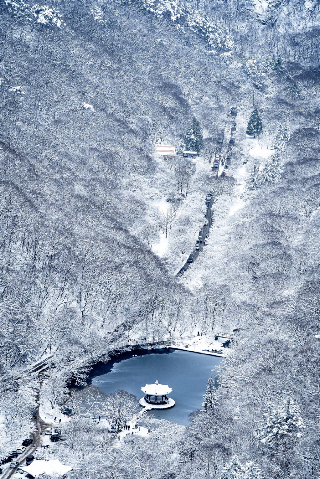 Fot. Gilyoung Pyo, nagroda Republic of Korea National Award / Sony World Photography Awards 2025