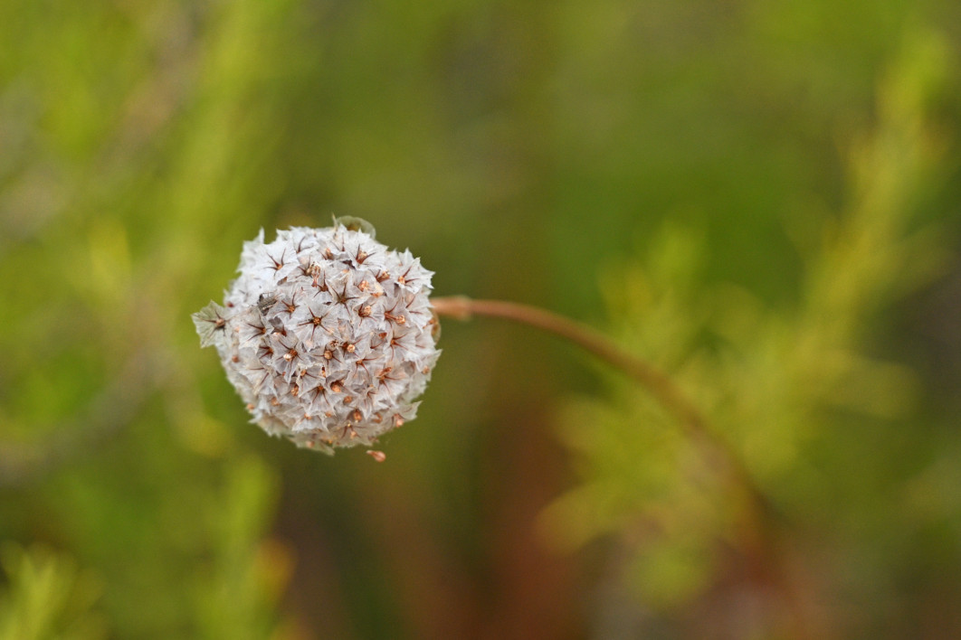 1/640 s, f/6.3, ISO 3200, 600.0 mm