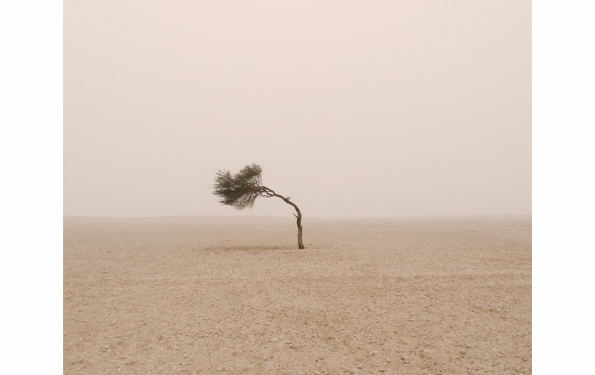 fot. Ruairidh McGlynn / Decade of Change
„W Katarze, jednym z najbardziej zurbanizowanych i produkującym najwiecej dwutlenku węgla na mieszkańca krajów, nie ma żadnego lasu. Zaintrygowała mnie ucieczka z centrów miejskich i zapuszczenie się w odludny krajobraz. Zdjęcie przedstawia spotkanie z samotnym drzewem Sidra wygiętym przez wiatr. Drzewo Sidra, kultowy symbol dziedzictwa tego kraju, od pokoleń rośnie na pustyniach Kataru. Rośnie w najtrudniejszych warunkach, będąc samotnym symbolem pocieszenia i stanowiąc kontrast dla rozwijającego się środowiska miejskiego ” - pisze o swoim zdjęci fotograf.