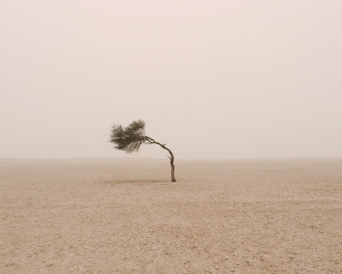 fot. Ruairidh McGlynn / Decade of Change<br></br><br></br>
„W Katarze, jednym z najbardziej zurbanizowanych i produkującym najwiecej dwutlenku węgla na mieszkańca krajów, nie ma żadnego lasu. Zaintrygowała mnie ucieczka z centrów miejskich i zapuszczenie się w odludny krajobraz. Zdjęcie przedstawia spotkanie z samotnym drzewem Sidra wygiętym przez wiatr. Drzewo Sidra, kultowy symbol dziedzictwa tego kraju, od pokoleń rośnie na pustyniach Kataru. Rośnie w najtrudniejszych warunkach, będąc samotnym symbolem pocieszenia i stanowiąc kontrast dla rozwijającego się środowiska miejskiego ” - pisze o swoim zdjęci fotograf.